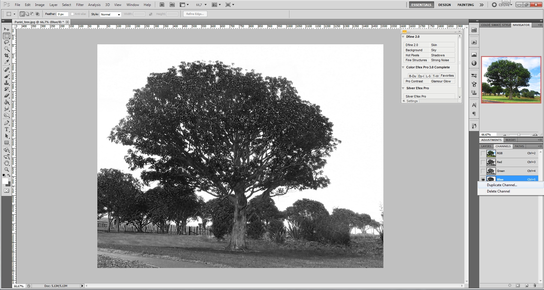 Photoshop návod: Vyrezať strom