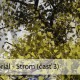 3ds Max tutoriál: Strom (časť 4)