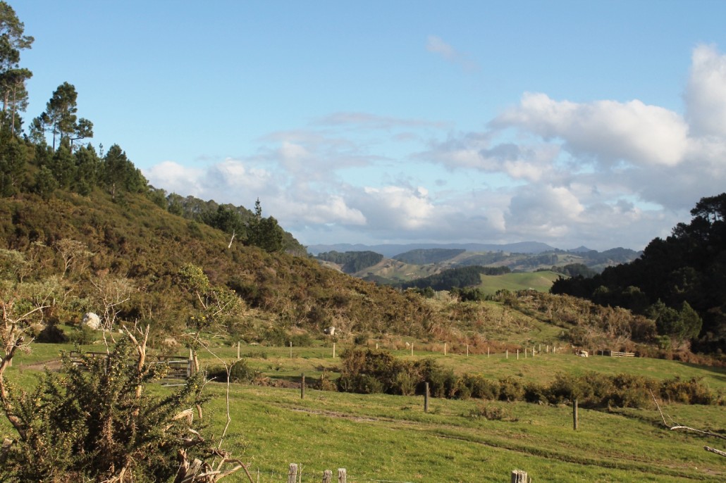 Nový Zéland - Polostrov Coromandel