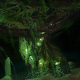 Roots of the World (2014)